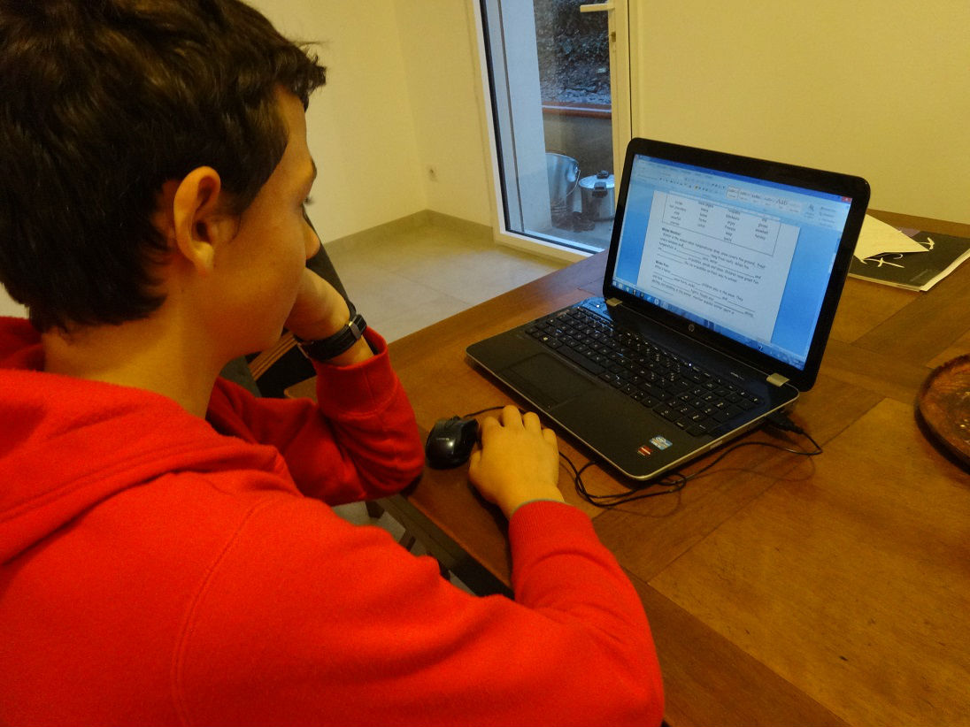 cours d`anglais à domicile, perfectionnement et rattrappage, niveau collège et préparation OIB